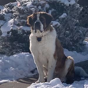 Meet your Posher, Sheryl